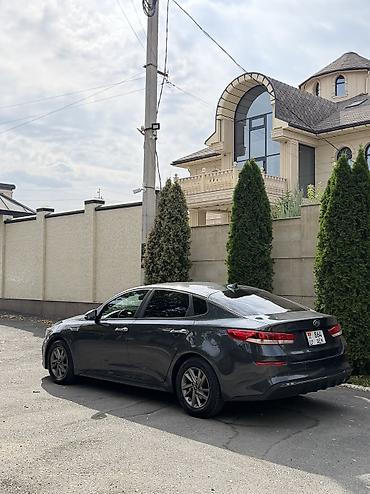 kia optima gt line: Kia Optima: 2019 г., 2.4 л, Автомат, Бензин, Седан — 2