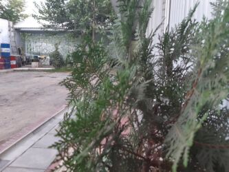 Долгосрочная аренда квартир: 1 комната, Риэлтор, С подселением, С мебелью полностью — 20