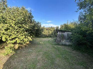 Kirayə torpaq sahələri: Kənd təsərrüfatı -da lalafo.az — 2 Kirayə torpaq sahələri: Kənd təsərrüfatı — 2