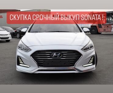 машина битая: Hyundai Sonata: 2017 г., 2 л, Автомат, Газ, Седан