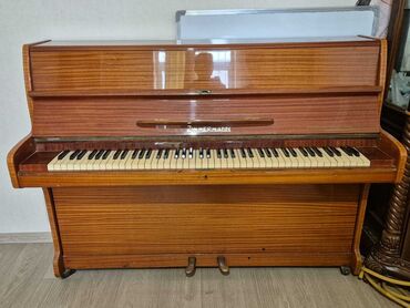 Pianolar: Piano, Zimmermann, Akustik