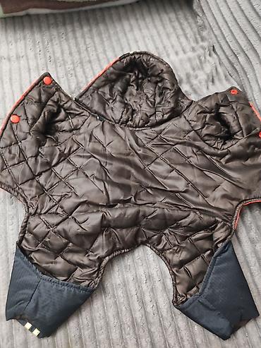 Зоотовары: Тёплая одежда, (две модели),маечки для Йорка 1) Комбинезон/пальто — 6