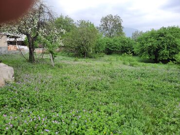 sabunçuda torpaq satılır: 23 sot, Mülkiyyətçi, Kupça (Çıxarış)