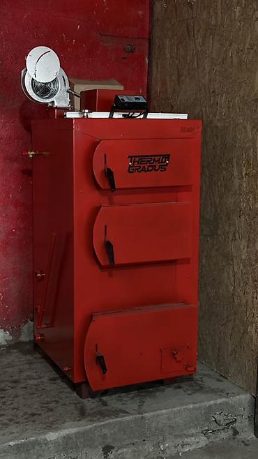 Твердотопливный котёл Новый, Бренд: Thermo Gradua, Для дома, Тип управления: Автоматический
