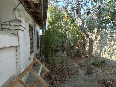 Həyət evləri və villaların satışı: Sumqayit teze kotec 7 sot torpaq. Real alici ile qiymetde anlashmag — 3