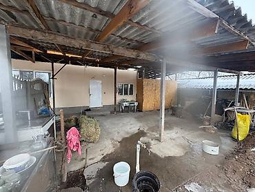 Продажа домов: Дом, 160 м², 5 комнат, Собственник, Косметический ремонт — 15