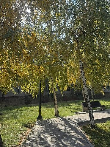 квартиры на ночь: Нужна одна девушка на подселение,подселение!! Есть все условия,адрес — 1