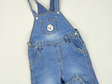 kombinezon na zimę dla niemowlaka: Overalls Lupilu, 3-4 years, 98-104 cm, condition - Good