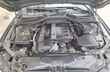 BMW: BMW 5 series: 2.5 l | 2004 il Sedan — 8