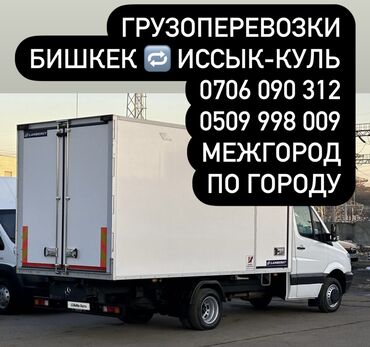 аренда спринтер: Бус, Вывоз бытового мусора, По региону, По городу, По стране, без грузчика