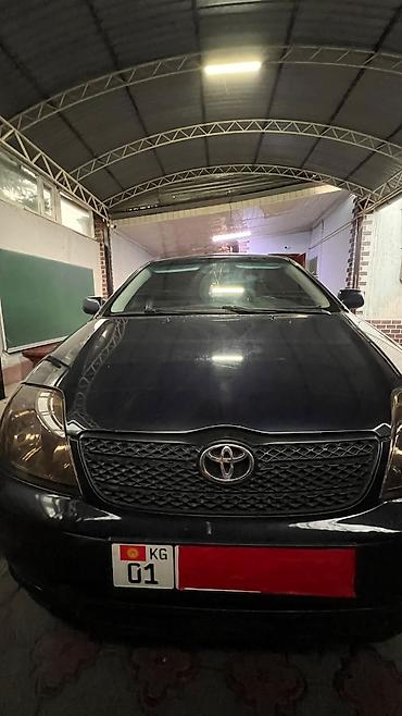 королла 120: Toyota Corolla: 2005 г., 1.6 л, Механика, Бензин, Седан — 9
