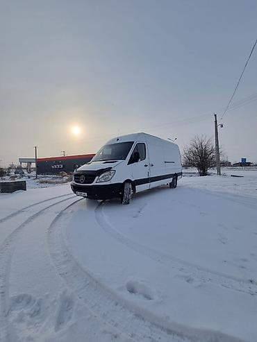 Аренда транспорта: Mercedes-Benz Sprinter (длинная база, высокий крыша) — универсальный — 6