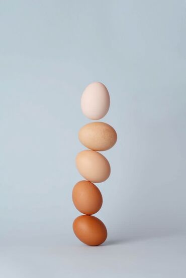 яйца домашние: Продаю | Инкубационные яйца