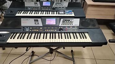 pul aliram: KORG Pa-700 QT Oriental versiya satilir. U-pakovka aletdir. 1 il — 8