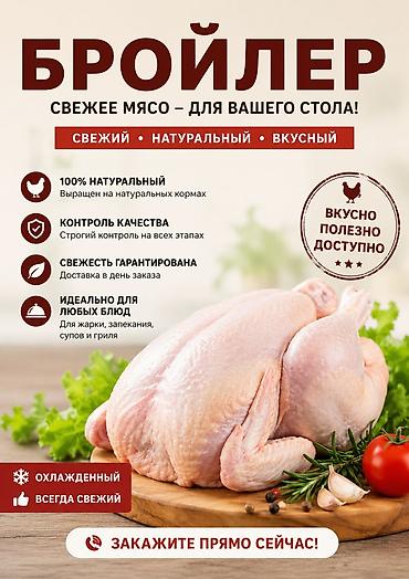 малек рыбы: 🐔 Свежий бройлер в продаже! Предлагаем свежего домашнего бройлера — 1