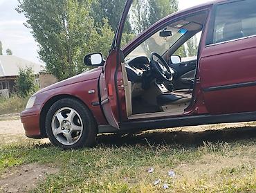 devo matiz: Honda Accord: 1999 г., 2 л, Автомат, Бензин, Седан — 1