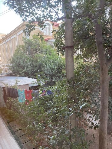 Uzunmüddətli kirayə mənzillər: Evin sahibiyem. Seliqeli ve her bir şerayeti olan evdi. Etraf sakit ve — 12