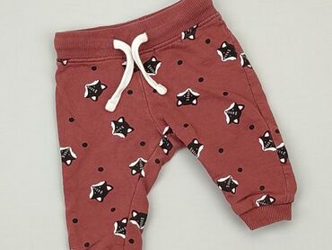 dresy legginsy: Sweatpants, SinSay, 0-3 months, condition - Perfect