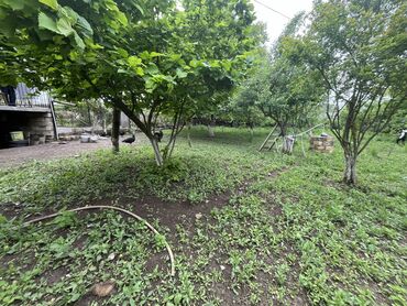 Torpaq sahələrinin satışı: 7 sot, Tikinti, Mülkiyyətçi, Kupça (Çıxarış) -da lalafo.az — 7 Torpaq sahələrinin satışı: 7 sot, Tikinti, Mülkiyyətçi, Kupça (Çıxarış) — 7