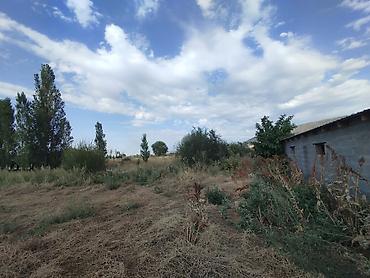 степной: Кошара, 20 соток, Не действующий, Частично с оборудованием, Электричество — 10