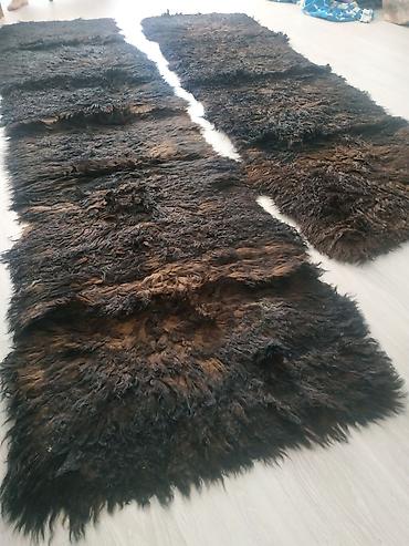 Ковры и паласы: Ковер Б/у — 4