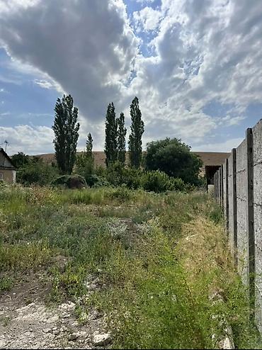 бир: 8 соток, Курулуш, Кызыл китеп — 4