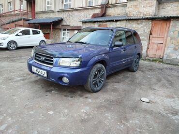 субару порестир: Subaru Forester: 2003 г., 2 л, Автомат, Бензин, Кроссовер