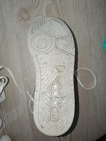 patike ecco: Original, novo — 4