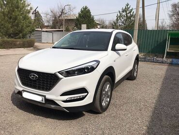 Hyundai: Hyundai Tucson: 2018 г., 1.7 л, Автомат, Дизель, Внедорожник — 9