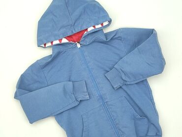 Sweatshirts: Sweatshirt, 3-4 years, 98-104 cm, condition - Good