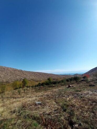 Продажа участков: 1800 соток, Для бизнеса, Красная книга at lalafo.kg — 9 Продажа участков: 1800 соток, Для бизнеса, Красная книга — 9