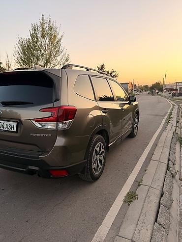 форестер полик: Subaru Forester: 2019 г., 2.5 л, Вариатор, Бензин, Кроссовер — 6