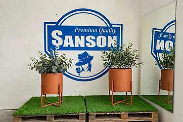 Vazalar: 🌿 ŞANSON | DEKORATİV DİBÇƏKLƏR Evinizə və həyətinizə xüsusi gözəllik — 16