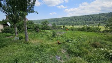 Torpaq sahələrinin satışı: Tikinti — 5