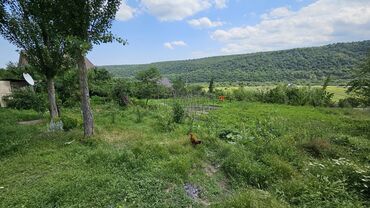 Torpaq sahələrinin satışı: 12 sot, Biznes üçün, Mülkiyyətçi, Kupça (Çıxarış) — 5