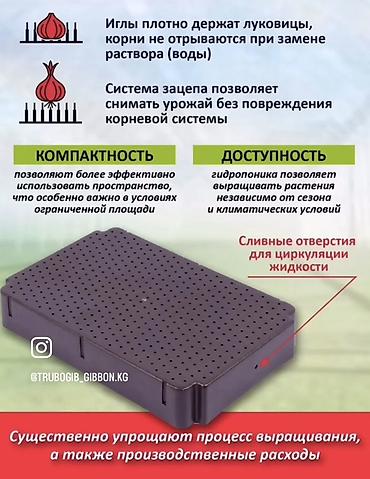гербера: Гидропонные лотки для выгонки луковичных растений Назначение: - — 3