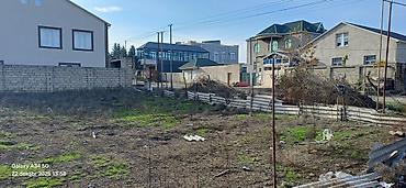 quba tap az: 7 sot, Kənd təsərrüfatı, Mülkiyyətçi, Kupça (Çıxarış) — 5