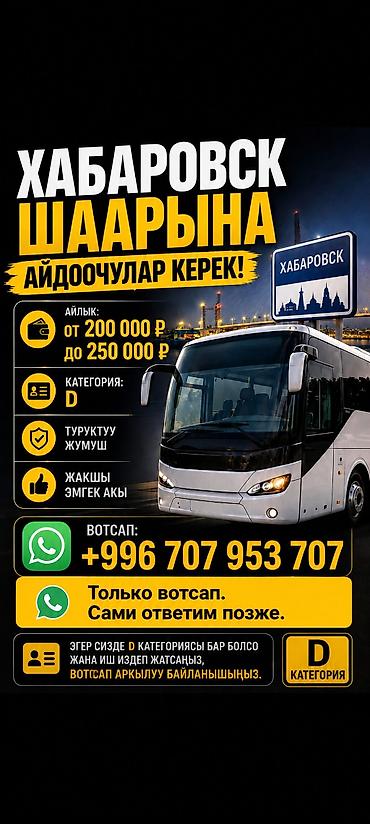 мереке видео: Талап кылынат Автобус, бус айдоочусу, Айдоочулук категориясы (D), Расмий жумушка орноштуруу — 1