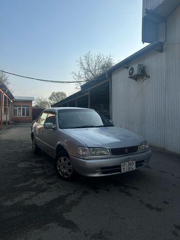 запчасти на toyota corolla: Toyota Corolla: 1999 г., 1.3 л, Автомат, Бензин, Седан