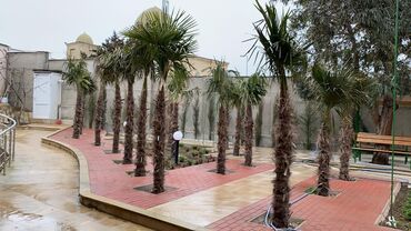 Həyət evləri və villaların satışı: Ev monolit betonla, qaya üzərində tikilib, dəniz mənzərəlidir. 1-ci — 21