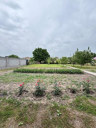 Продажа коттеджей и домов: 5 и более комнат, 80 м², 7 соток, Бишкек — 12