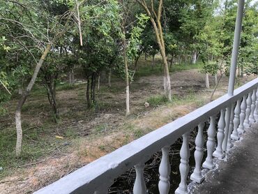 Binalar: Ağ rəngdə, geniş sahəyə malik, bir mərtəbəli bina. Bina müxtəlif -da lalafo.az — 11 Binalar: Ağ rəngdə, geniş sahəyə malik, bir mərtəbəli bina. Bina müxtəlif — 11