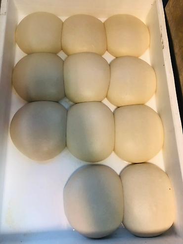 Повара: Повар Жарщик. С опытом — 16