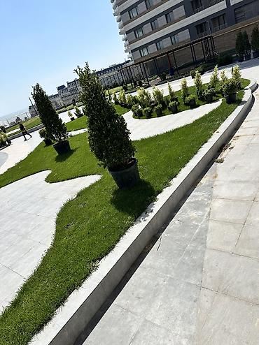 dəniz məhsulları satışı: 1kvm = 3₼ • Azərbaycanın bütün bölgələrinə çatdırılma var. • Ucuz — 8