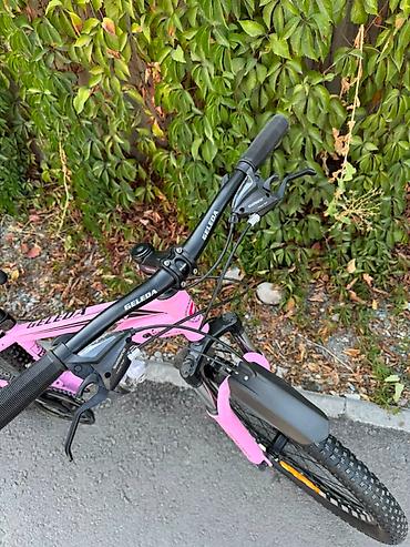 хар: 🚲 **Велосипед с 24 скоростями** ⚙️ **Переключатели Shimano** 🔧 — 2