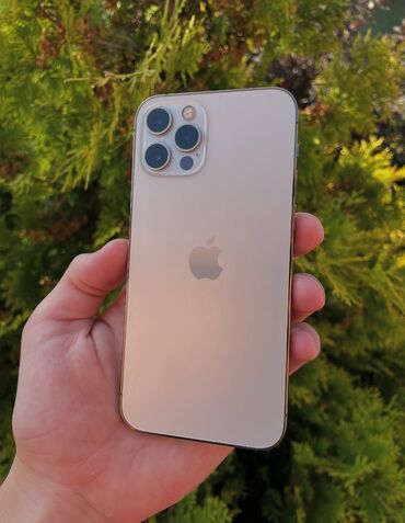 купить айфон 5 se бу: IPhone 12 Pro, Колдонулган, 256 ГБ, Алтын, Заряддоочу түзүлүш, Каптама, 80 %
