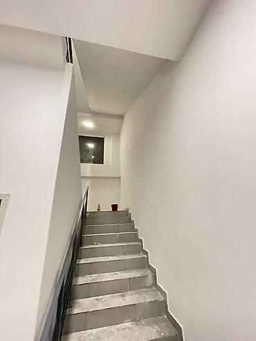 Покраска: Покраска стен, На водной основе, Больше 6 лет опыта — 11