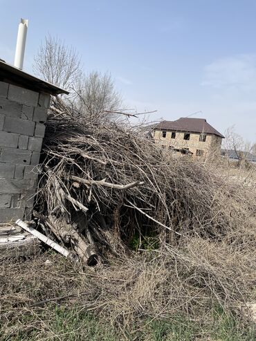 заправка газовых баллонов на дому бишкек: Дрова Самовывоз