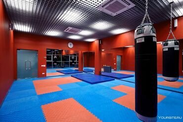 Другое для спорта и отдыха: Дзюдо татами Мат Мат Мат 1)Дзюдо маты 2)Маты борцовские UWW — 3