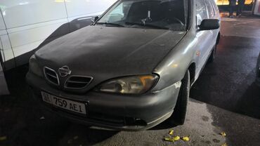 Nissan: Nissan Primera: 2001 г., 2 л, Вариатор, Бензин, Универсал